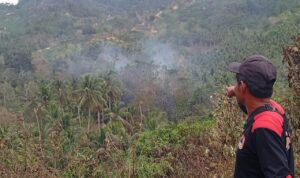 WhatsApp Image 2026-03-01 at 19.41.24