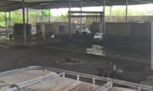 WhatsApp Image 2026-03-08 at 21.38.47