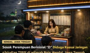 WhatsApp Image 2026-03-16 at 11.02.43