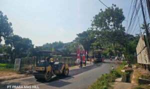 WhatsApp Image 2026-08-01 at 14.21.18