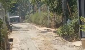 Screenshot_20261024_172817_com.huawei.himovie.overseas_edit_137082563021268